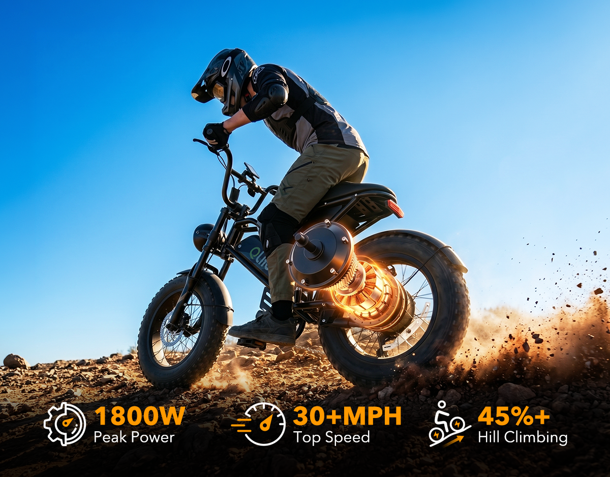 Qlife Spark vs Spark D2 vs Spark Plus: Which Fits Your Ride?