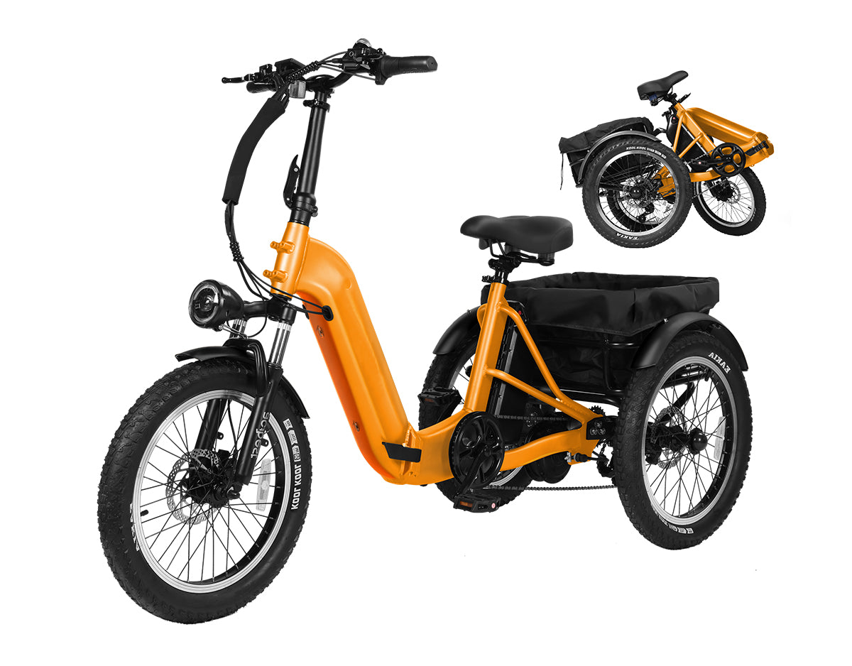 Triker Pro Folding 3 Wheels Electric Bike