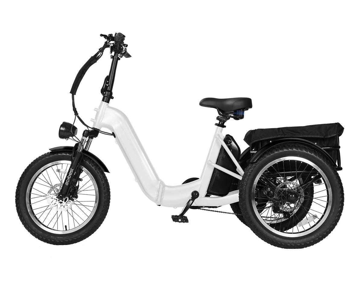 Triker Pro Folding 3 Wheels Electric Bike