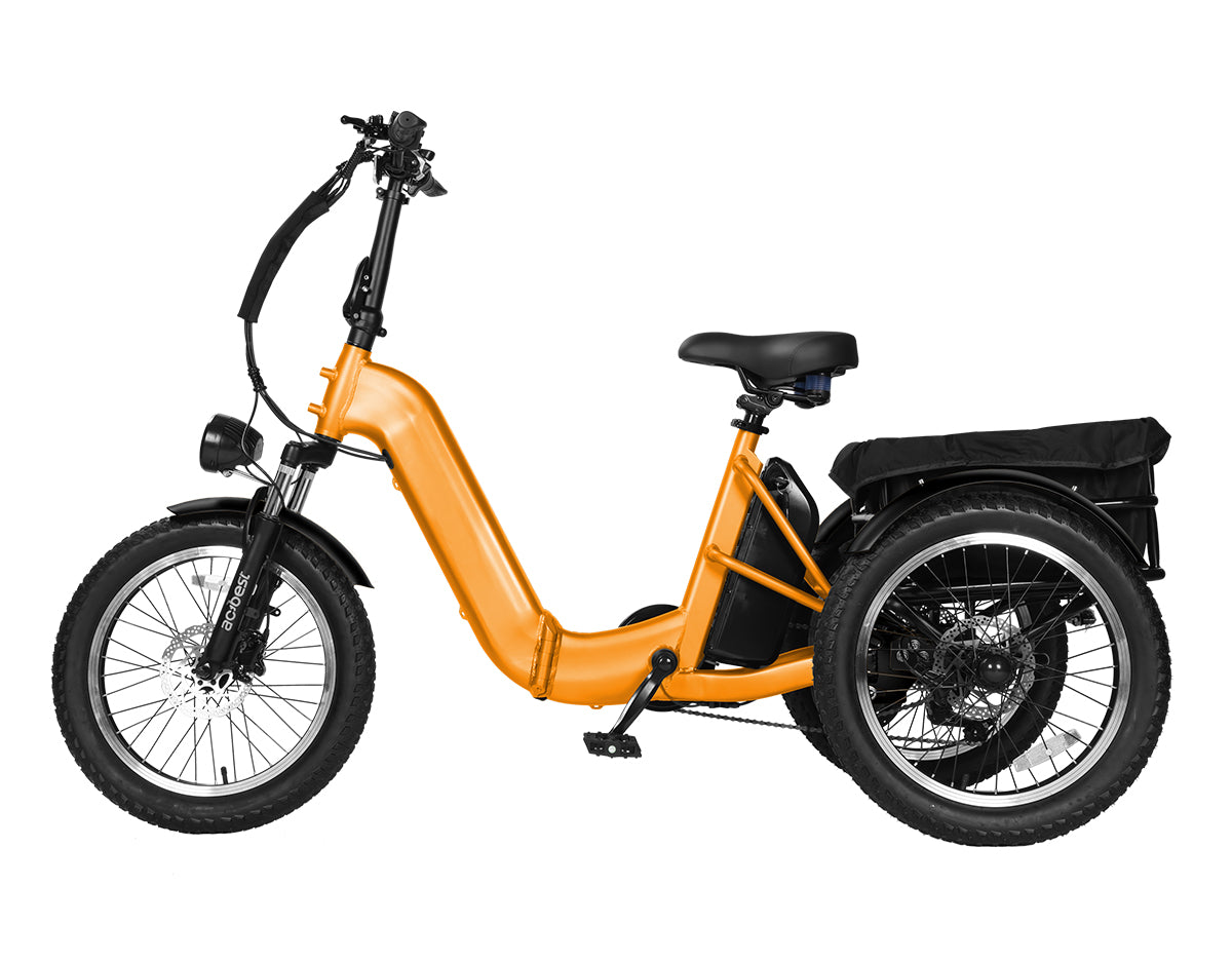 Triker Pro Folding 3 Wheels Electric Bike