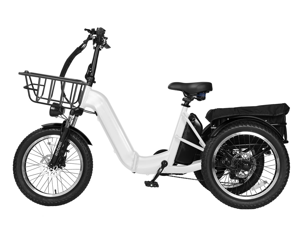 Triker Pro Folding 3 Wheels Electric Bike
