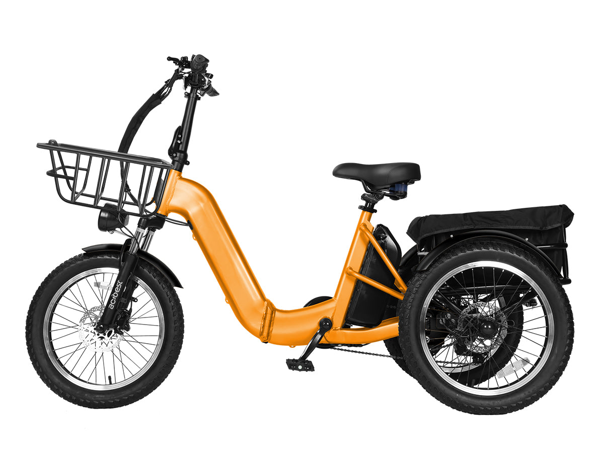 Triker Pro Folding 3 Wheels Electric Bike