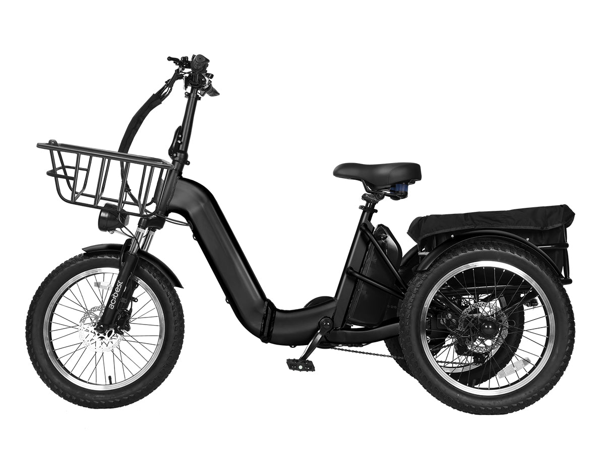 Triker Pro Folding 3 Wheels Electric Bike