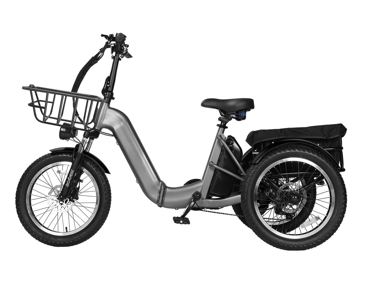 Triker Pro Folding 3 Wheels Electric Bike