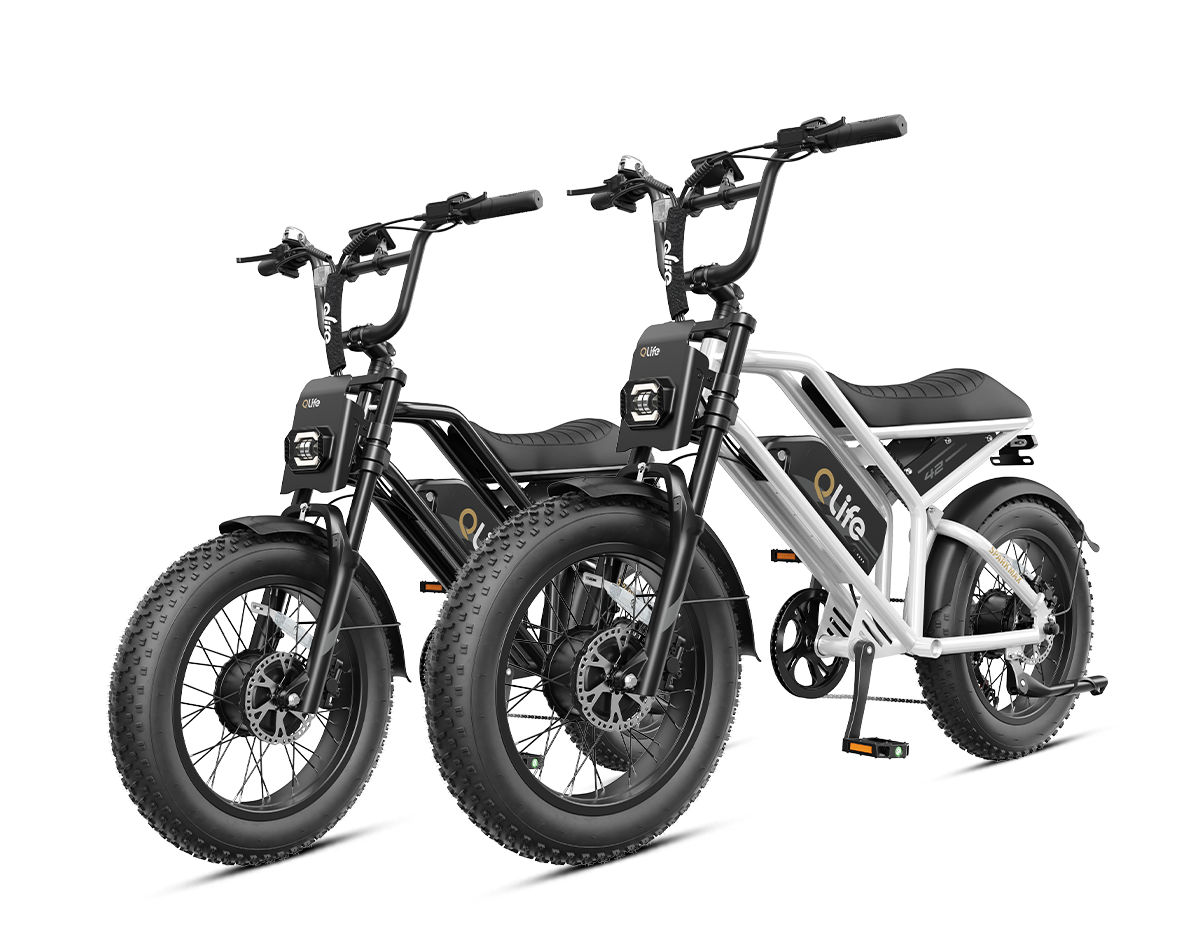 Qlife® Ebike Combo Sale Spark Max *2