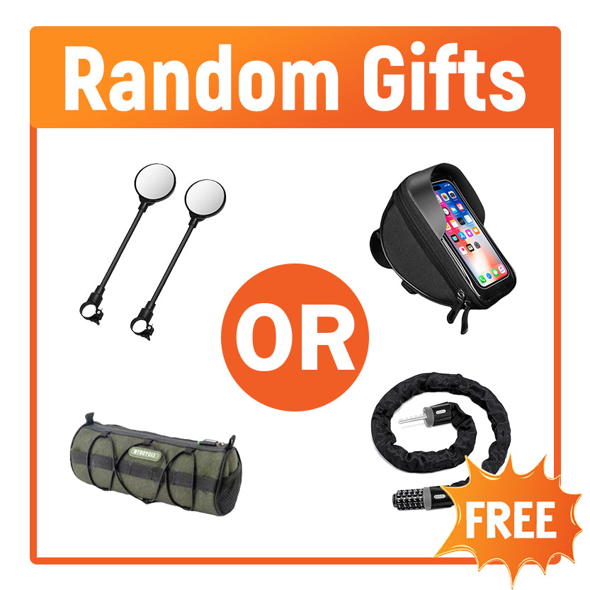 Random Gift (1 per eBike only ,no extras)