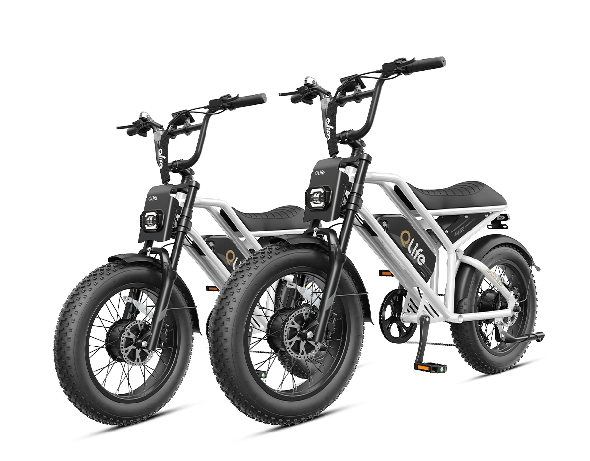 Qlife® Ebike Combo Sale Spark Max *2