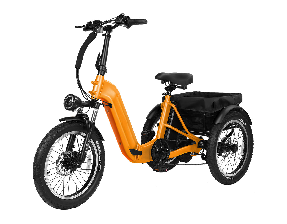 Triker Pro Folding 3 Wheels Electric Bike