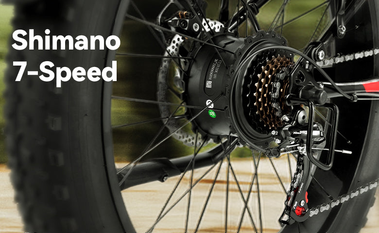 Qlife Bike