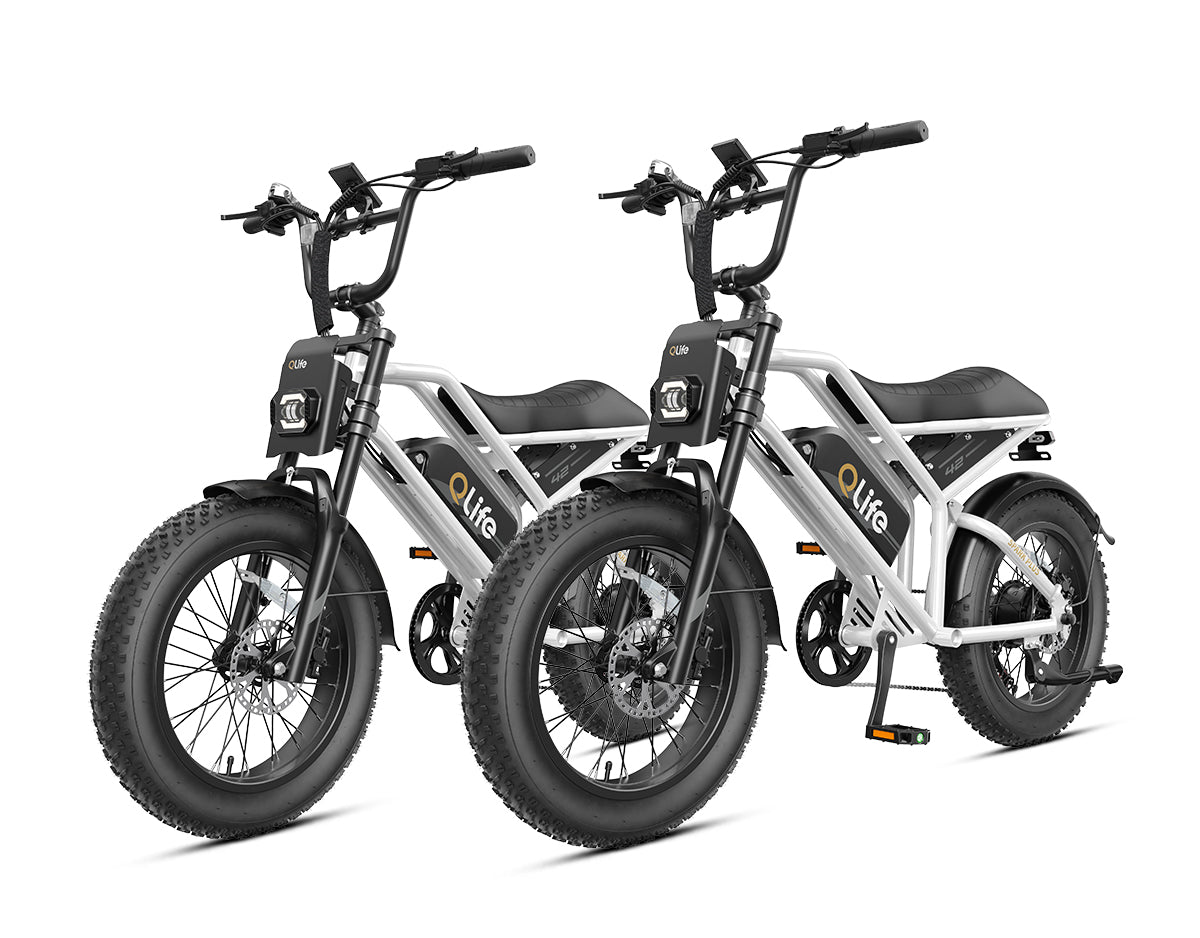 Qlife® Ebike Combo Sale Spark Plus *2 – Qlife Bike
