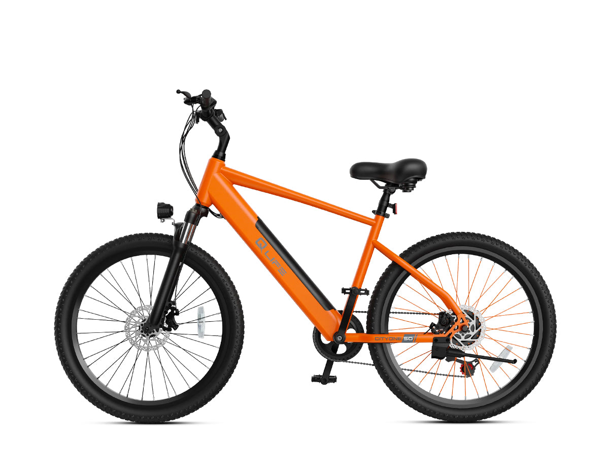 Cityone Step Over 2.0 Mountain Electric Bike