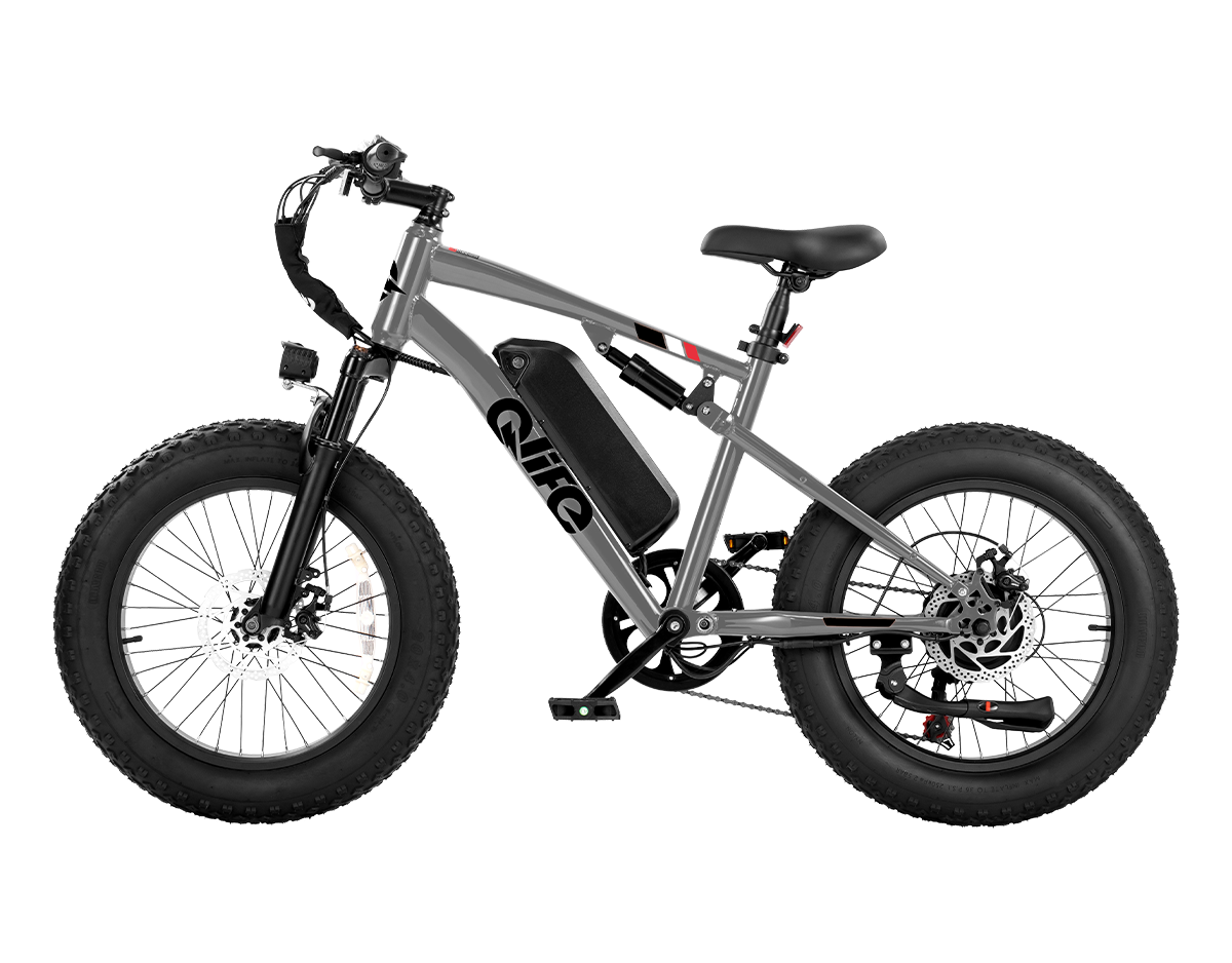 Racer 20x4.0'' Fat Tire 2.0 Electric Bike, Standard, Gray 2