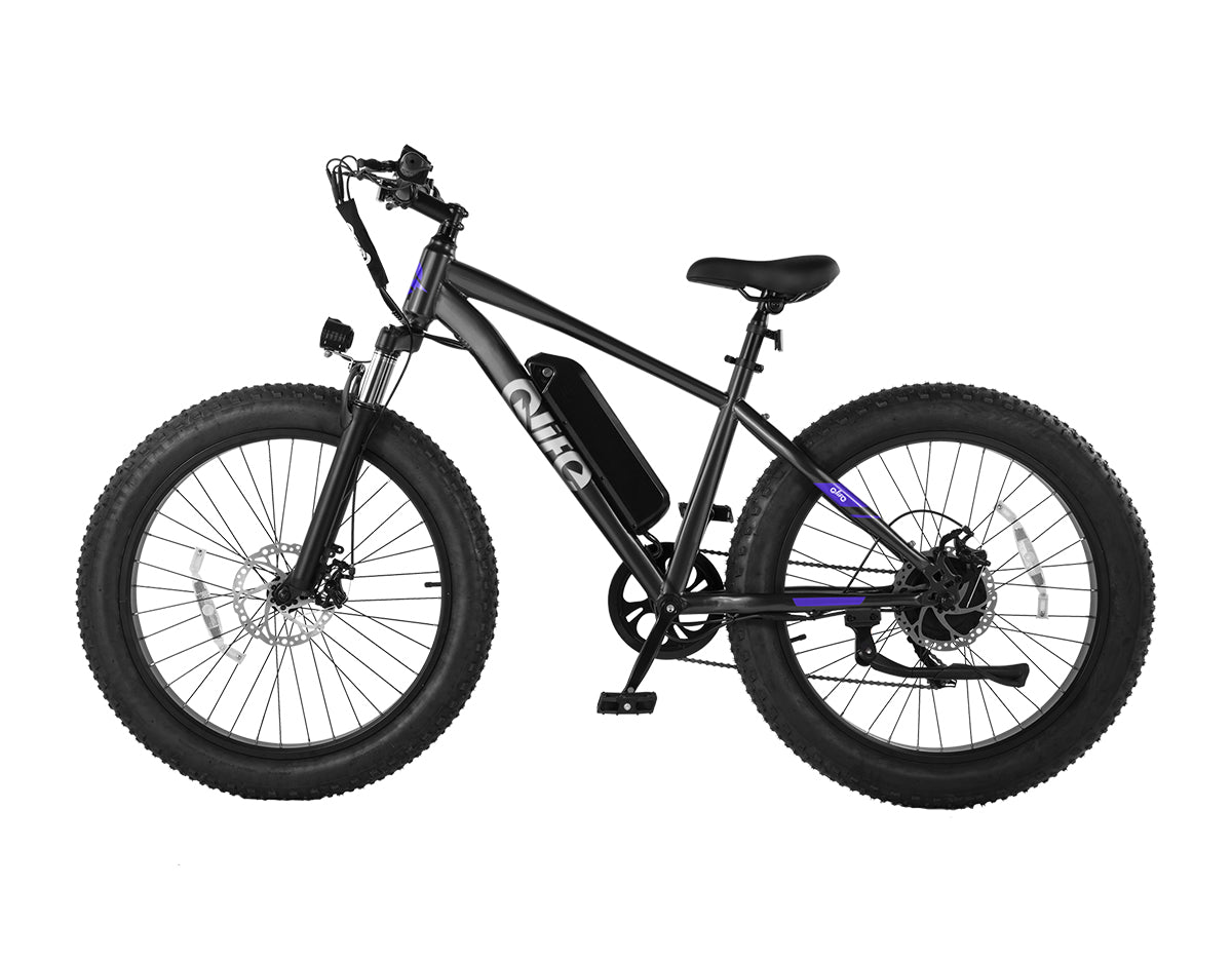 Racer Plus 26x4.0'' Fat Tire Electric Bike For Adults, Standard, Black 3