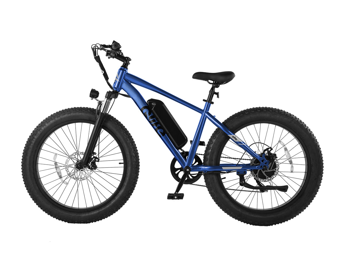 Racer Plus 26x4.0'' Fat Tire Electric Bike For Adults, Standard, Blue 3