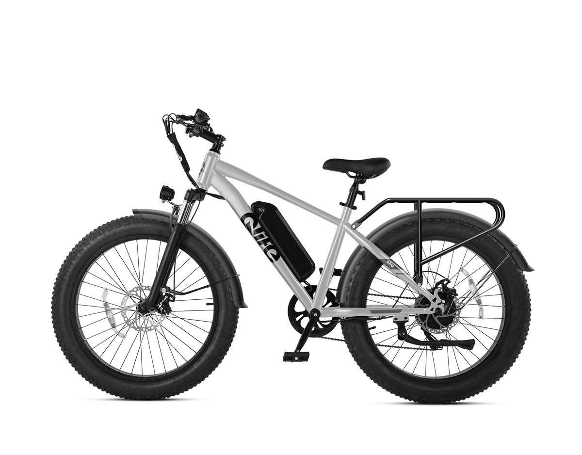 Racer Plus 26x4.0'' Fat Tire Electric Bike For Adults, With Fenders & Rear Rack, Silver 2