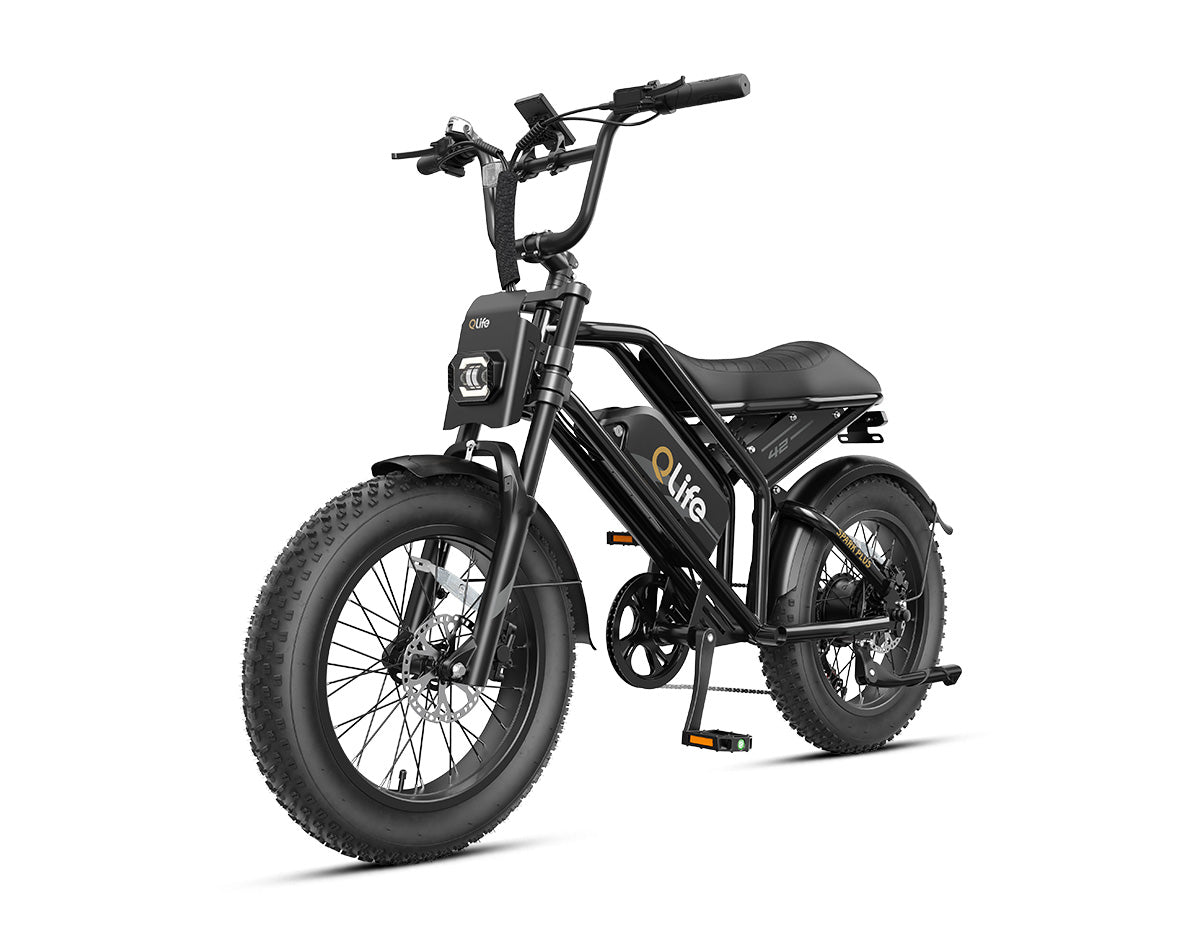 Spark Plus 20x4.0" Hydraulic Brakes Moped-Style E-Bike, Standard, Black 2