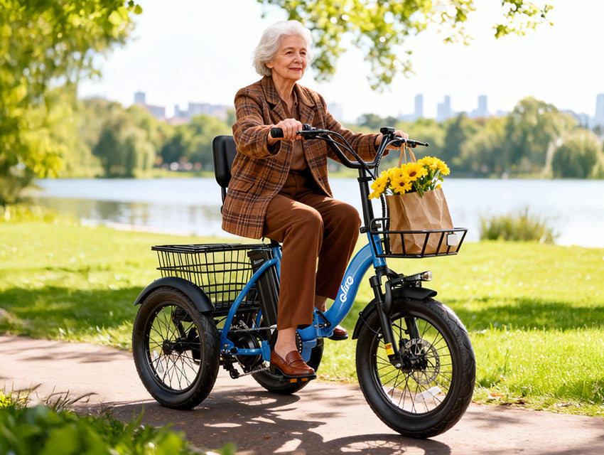 Best Electric Bike with a Basket