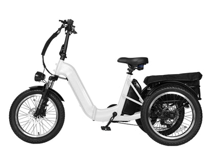 Triker Pro Folding 3 Wheels Electric Bike