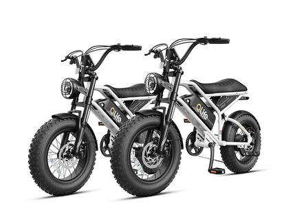 Qlife® Ebike Combo Sale Spark D2 *2