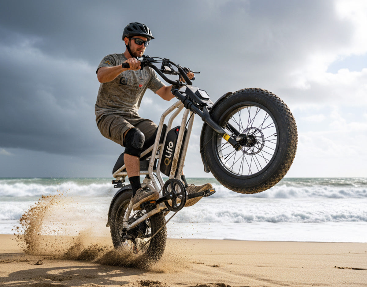 Qlife Bike