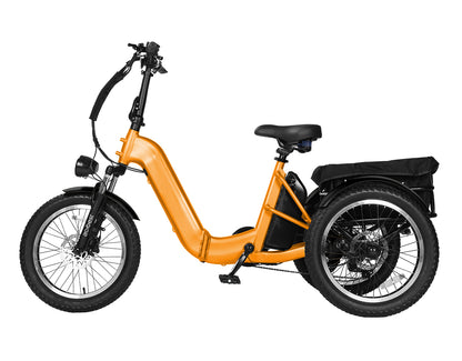 Triker Pro Folding 3 Wheels Electric Bike