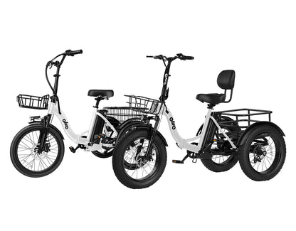 Qlife® Ebike Combo Sale Triker+Triker Plus