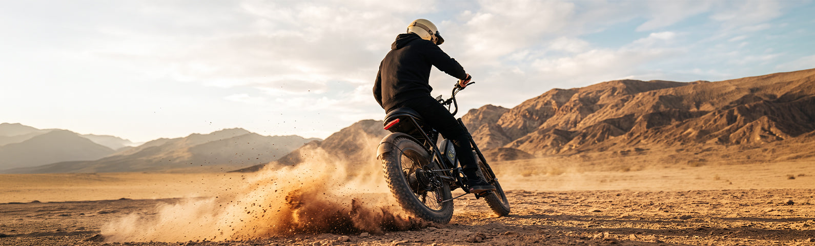 Qlife Bike