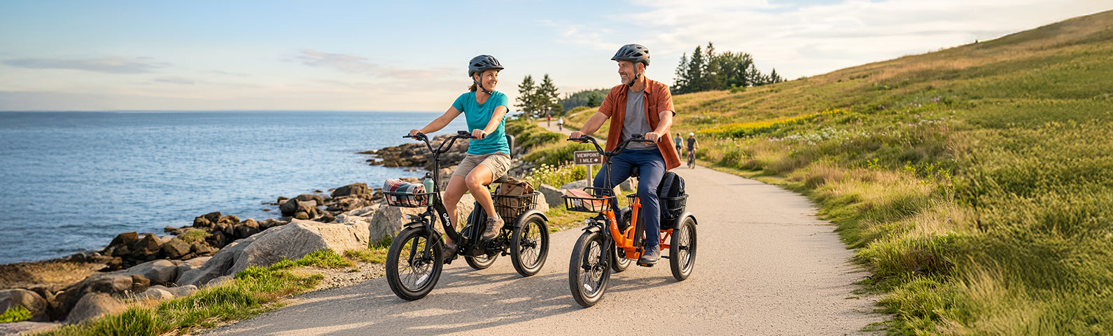 Qlife Bike