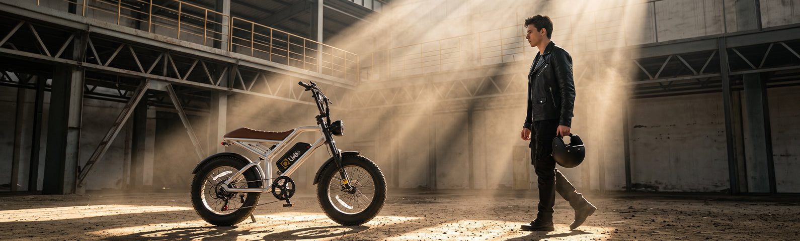Qlife Bike