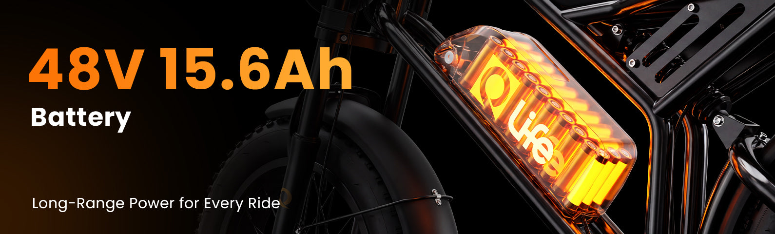 Qlife Bike
