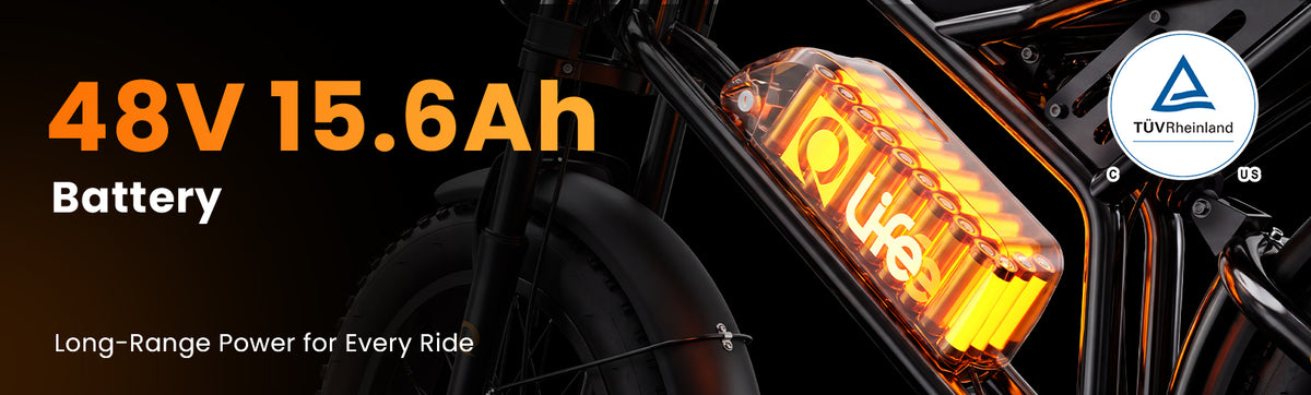 Qlife Bike