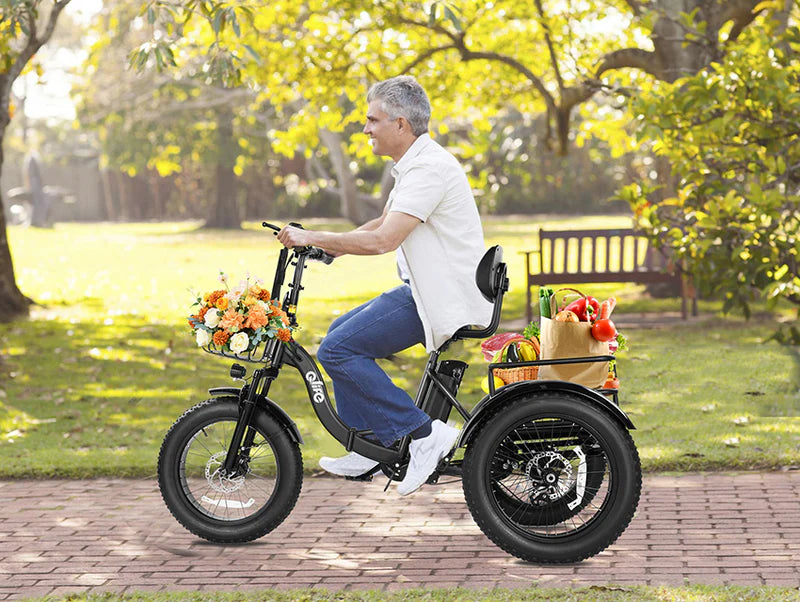 Triker Plus Folding 3 Wheels Electric Bike