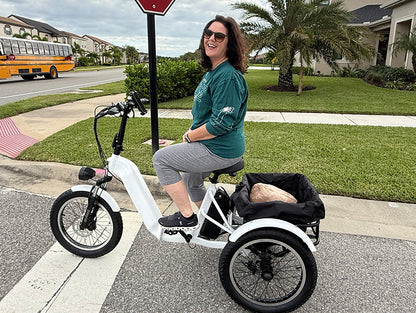 Triker Pro Folding 3 Wheels Electric Bike