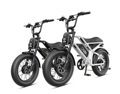 Qlife® Ebike Combo Sale Spark Max *2