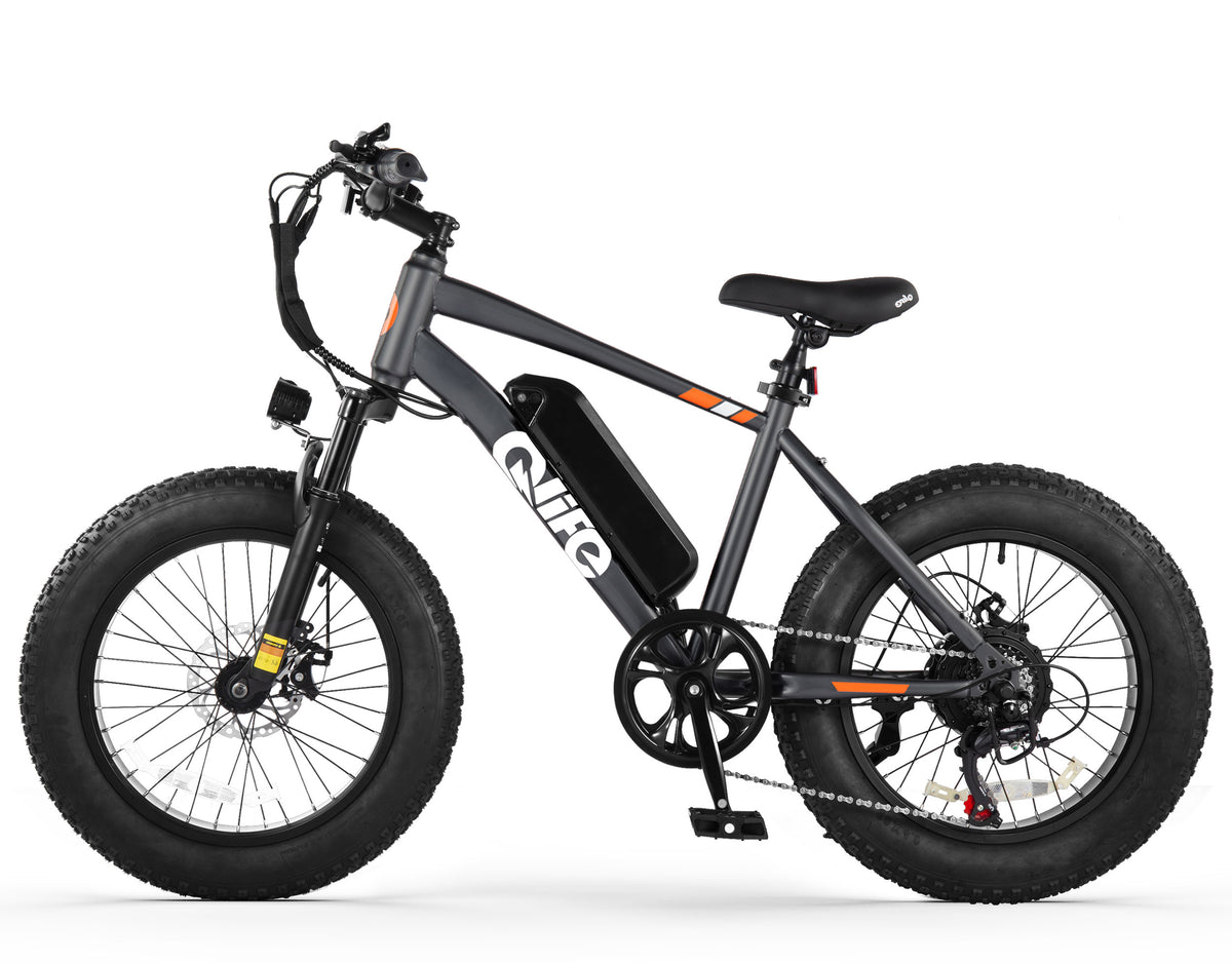 Racer 20x4.0'' Fat Tire Electric Bike – Qlife Bike