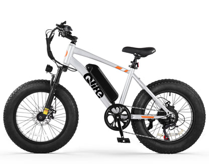 Racer 20x4.0 Fat Tire Electric Bike