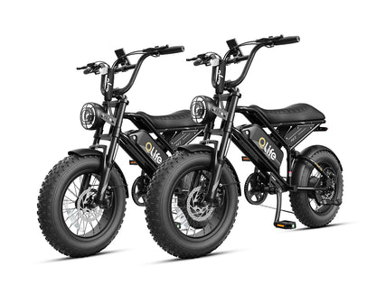 Qlife® Ebike Combo Sale Spark D2 *2
