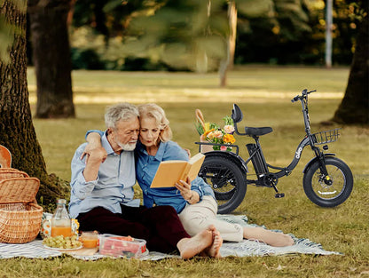 Triker Plus Folding 3 Wheels Electric Bike