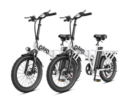 Qlife® Ebike Combo Sale Hunter *2