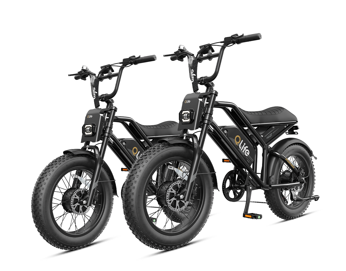 Qlife® Ebike Combo Sale Spark Max *2