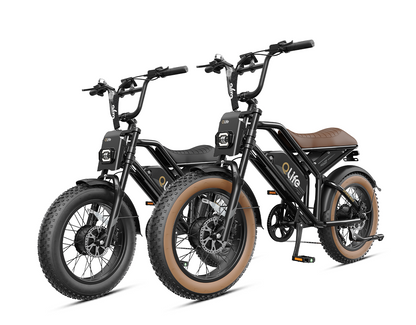 Qlife® Ebike Combo Sale Spark Max *2