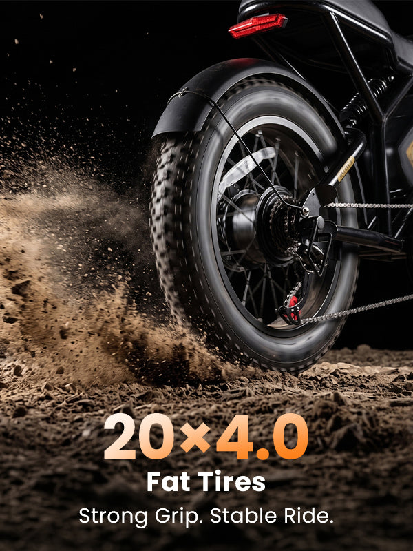 Qlife Bike