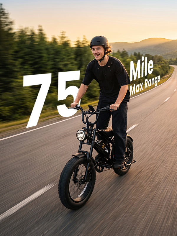 Qlife Bike