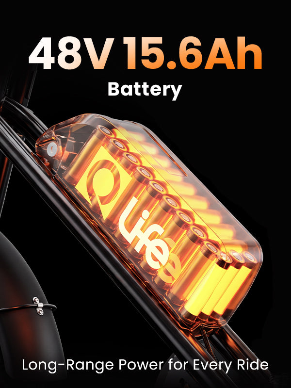 Qlife Bike