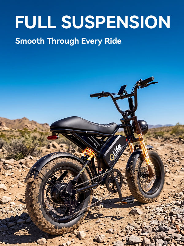 Qlife Bike