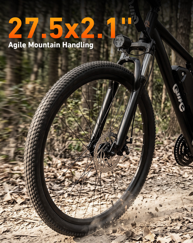 Qlife Bike