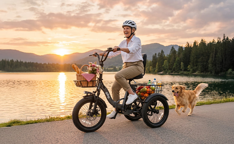 Qlife Bike