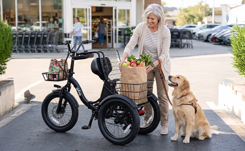 Qlife Bike