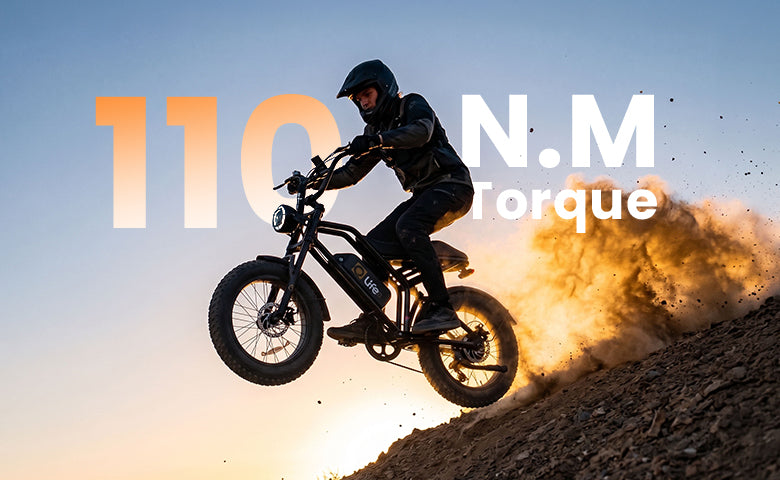Qlife Bike