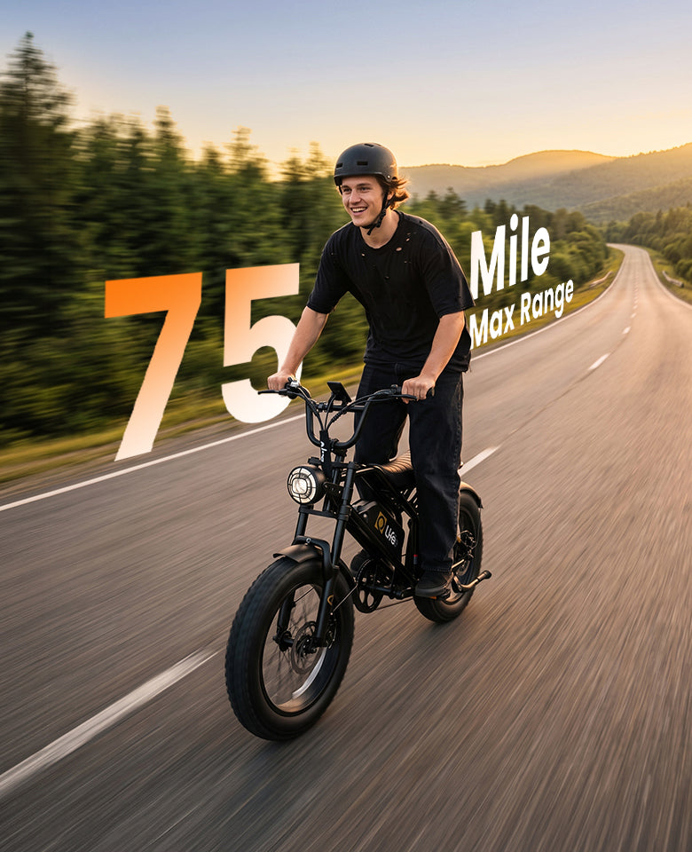 Qlife Bike